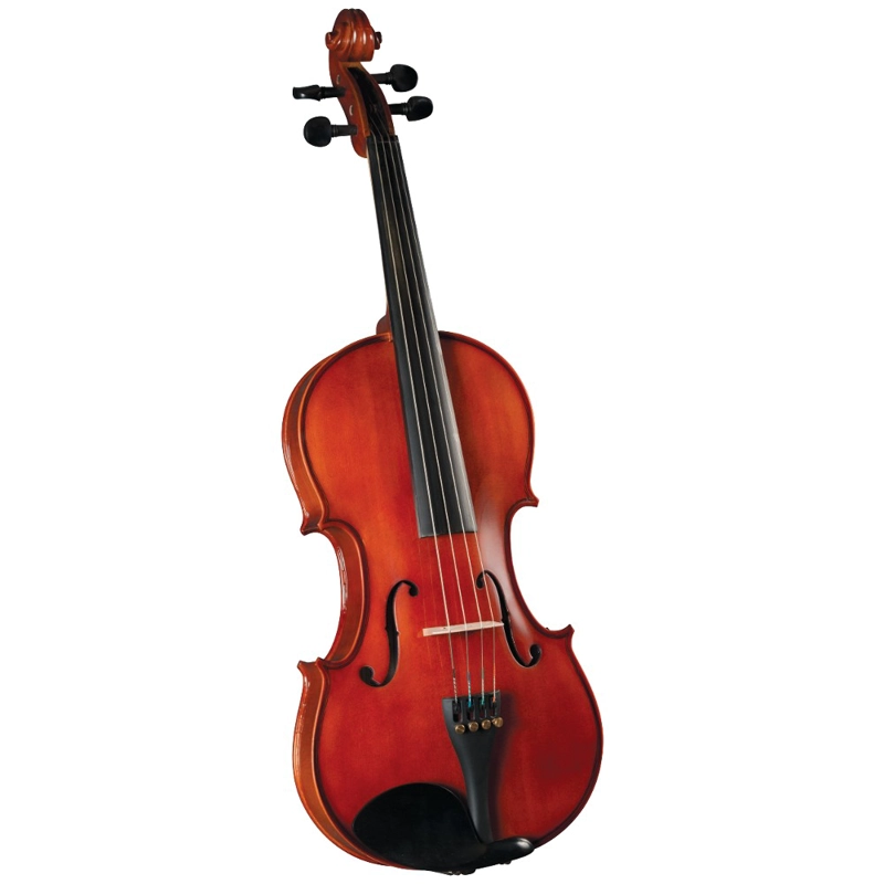 VIOLA OUTFIT 13'' HVA-100 CERVINI - 1