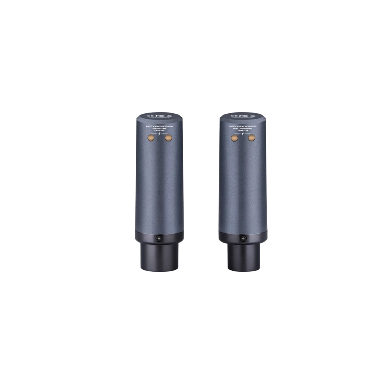 SISTEMA DE MICROFONO INALAMBRICO B-3RC NUX - 2