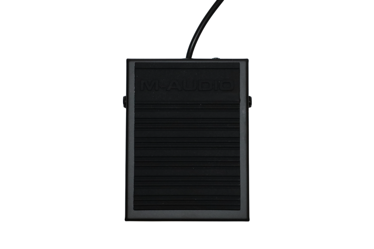 PEDAL SUSTAIN SP-1 M-AUDIO - 6