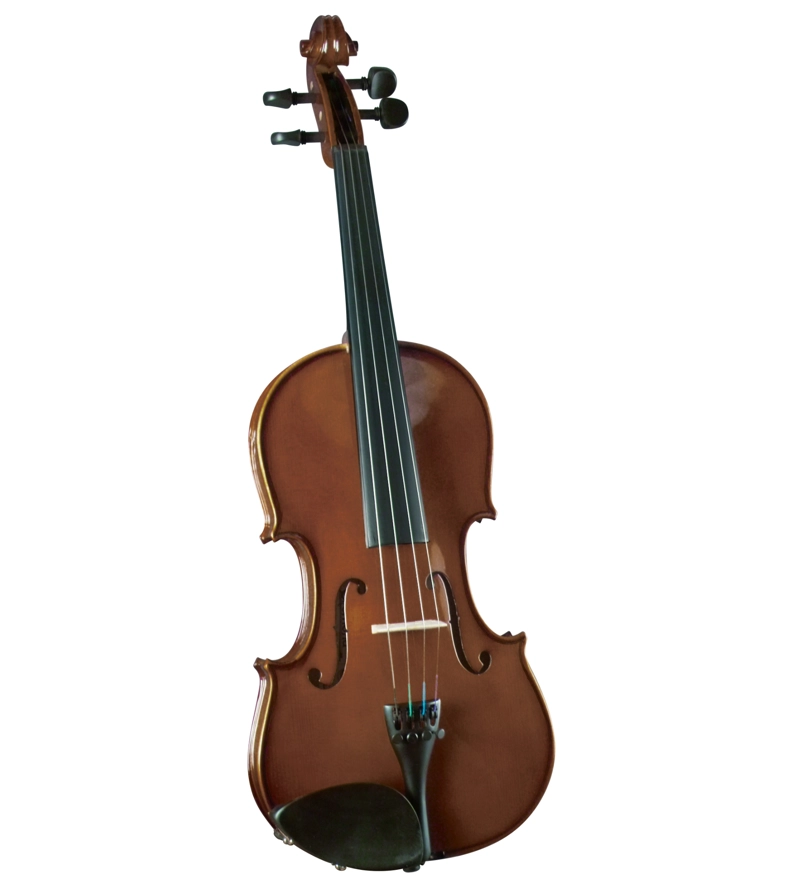VIOLIN NOVICE OUTFIT 1/10 SV-50 CREMONA - 1