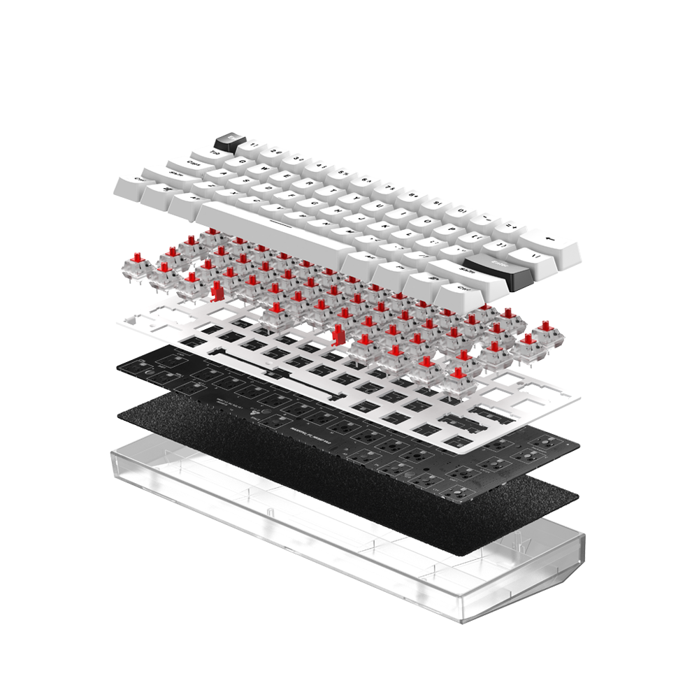 TECLADO GAMER WINDOWS FANTECH MAXFIT 61 MK857 WHITE WIRELESS SW BLUE - 5
