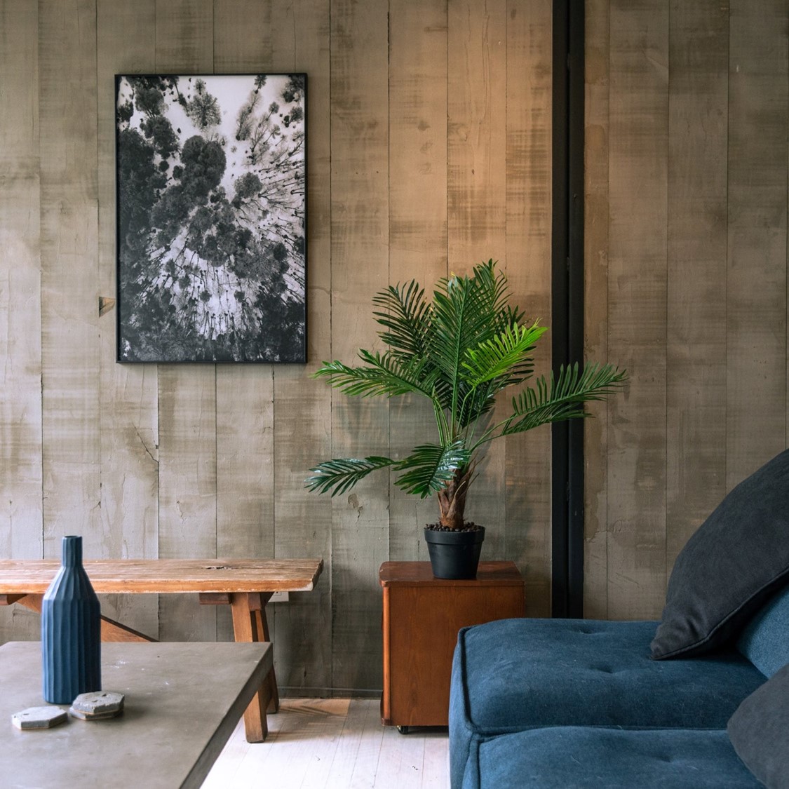 PALMERA DE 90 CM - 1
