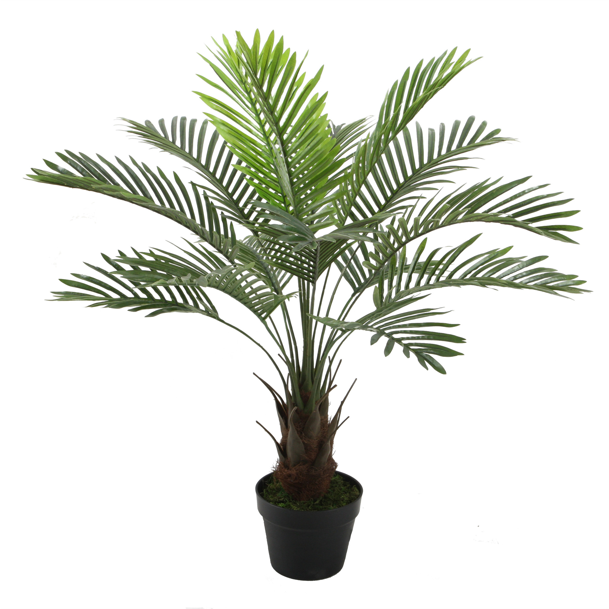 PALMERA DE 90 CM - 2