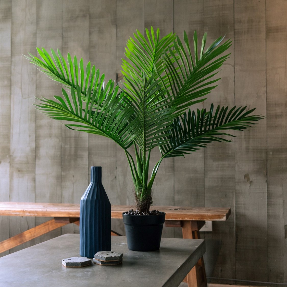 PALMERA DE 80 CM - 1