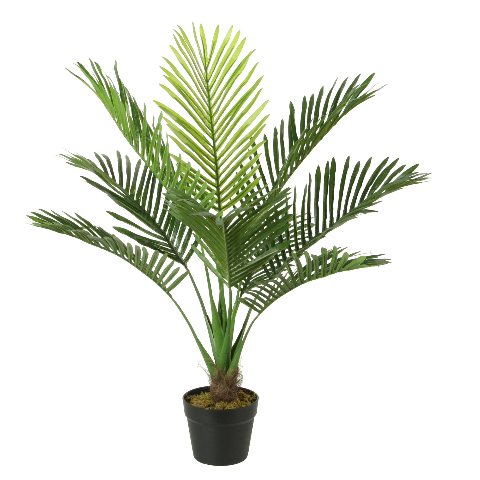 PALMERA DE 80 CM - 2