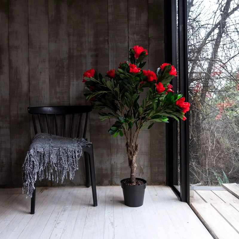 ARBOL DE RODODENDRO ROJO DE 120 CM - 1