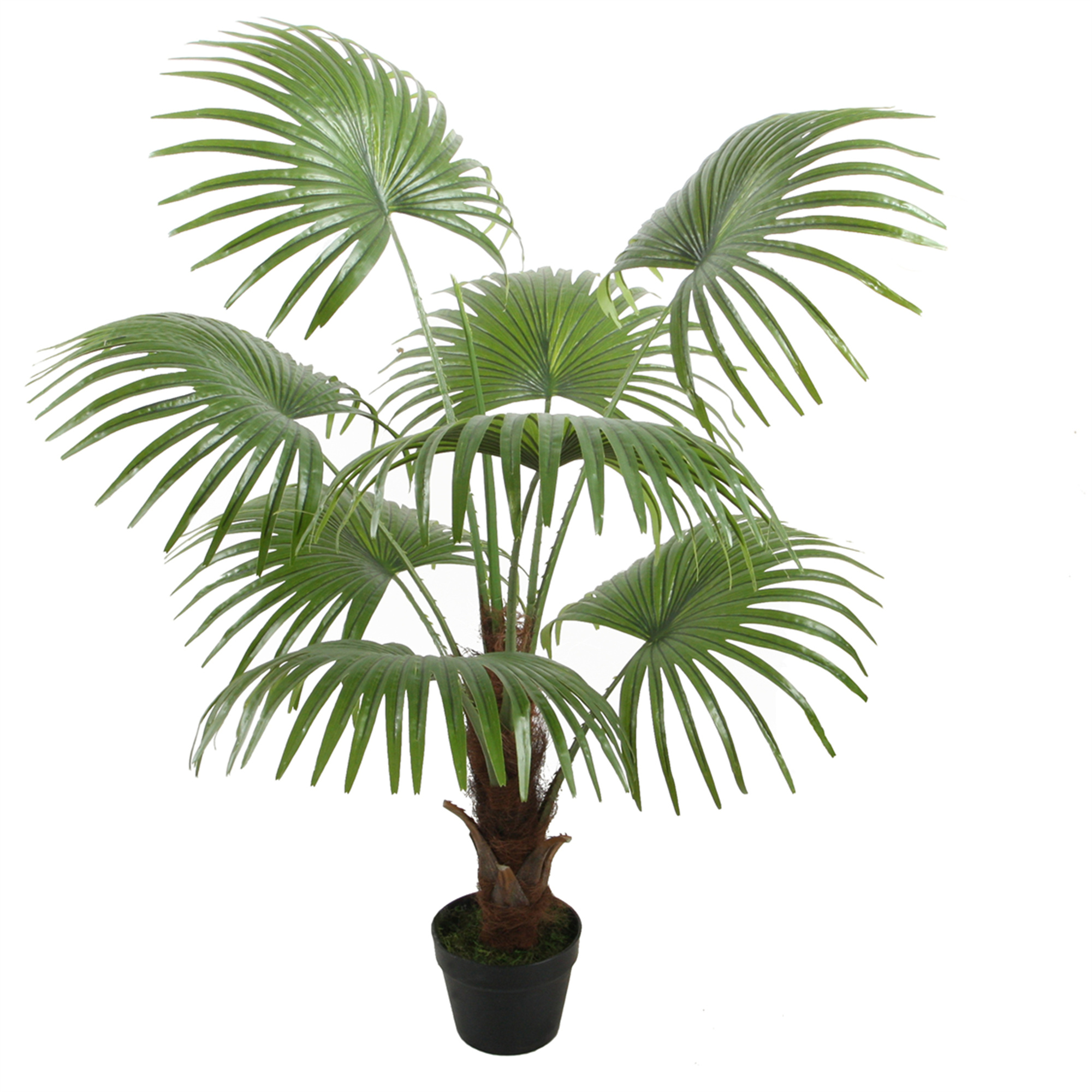 PALMERA ABANICO DE 120 CM - 2