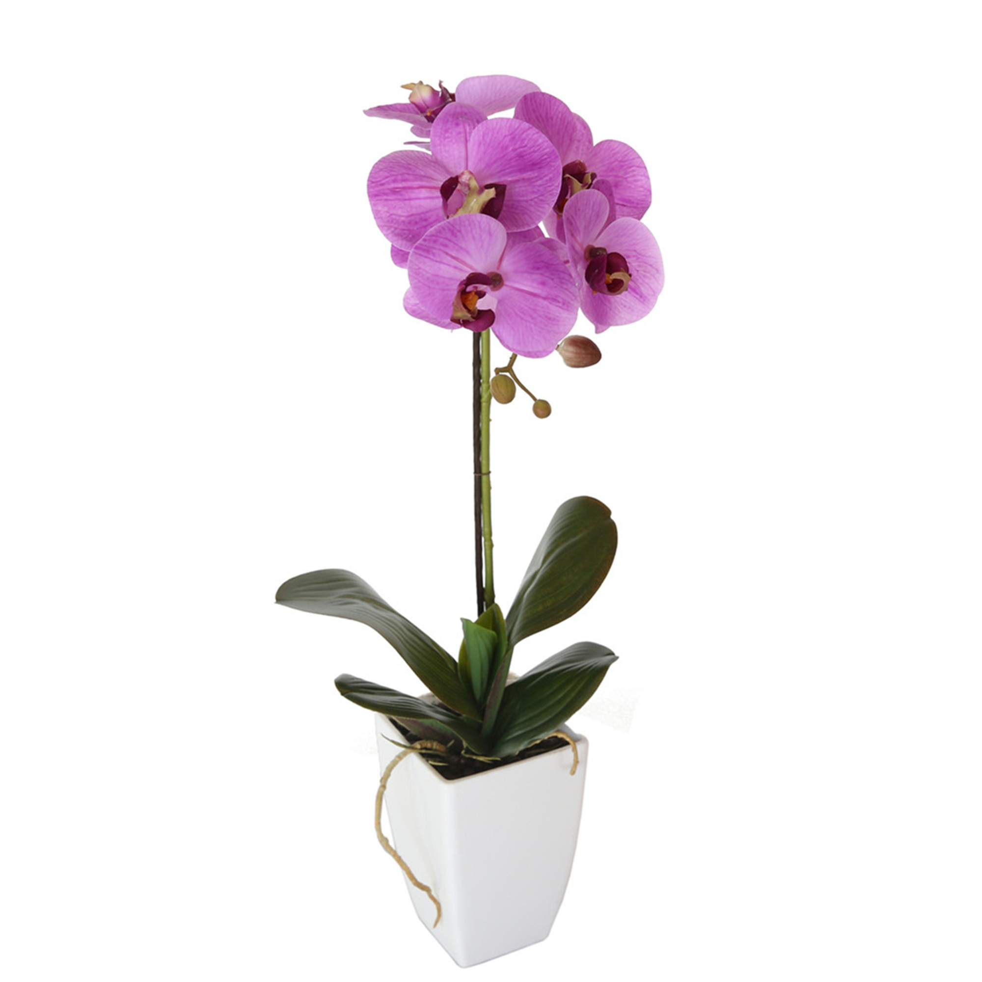 ORQUÍDEA MORADA DE 52 CM EN MACETERO - 2