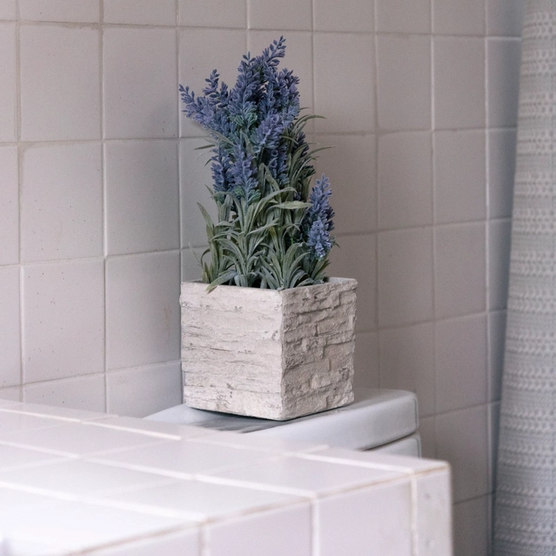 MINI LAVANDA MORADA DE 36 CM CON MACETERO CUADRADO - 1