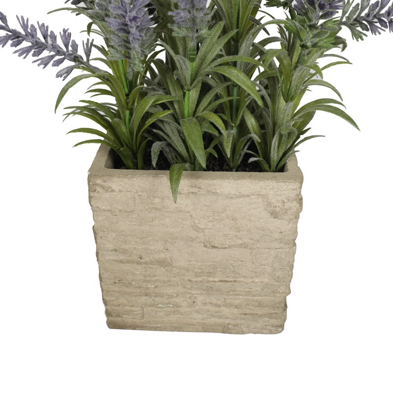 MINI LAVANDA MORADA DE 36 CM CON MACETERO CUADRADO - 3