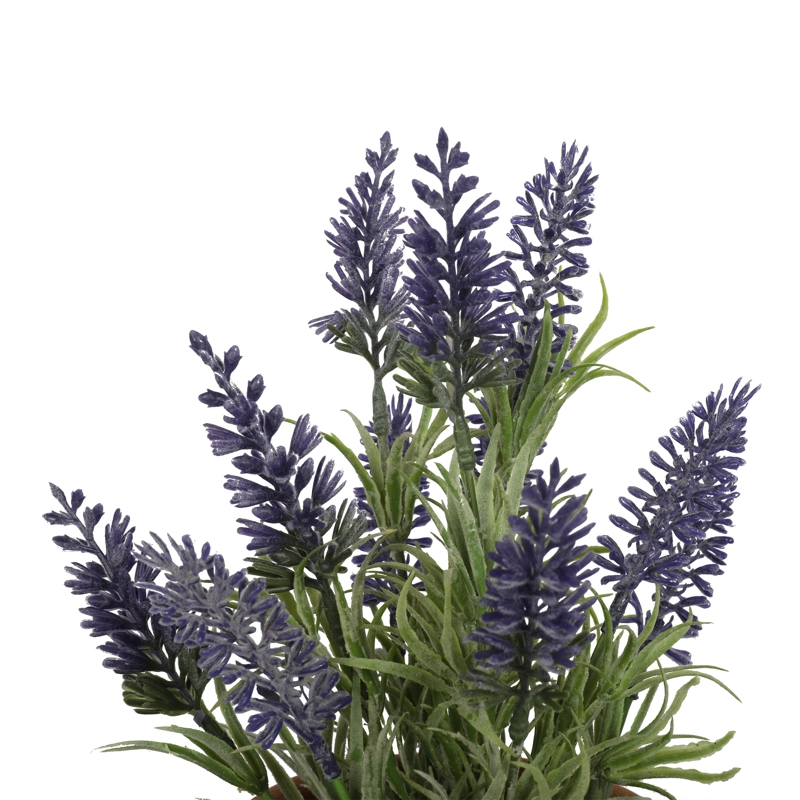 MINI LAVANDA MORADA DE 25 CM CON MACETERO - 3