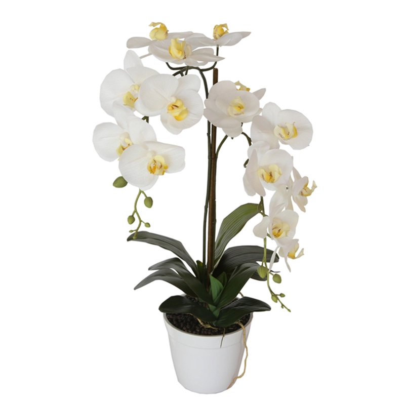 ORQUÍDEA BLANCA DE 65 CM EN MACETERO - 2