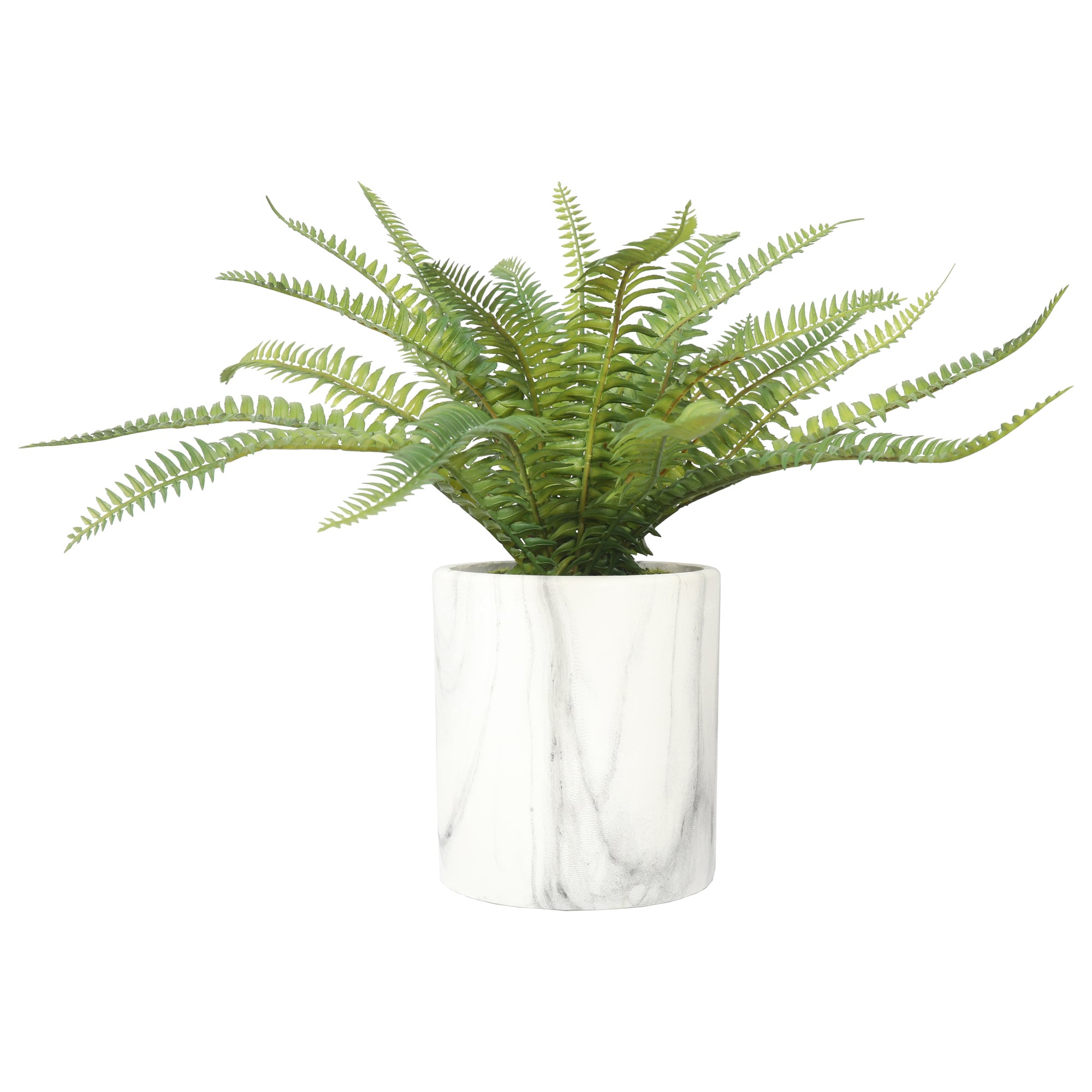 HELECHO SILVESTRE DE 30 CM, CON MACETERO - 2