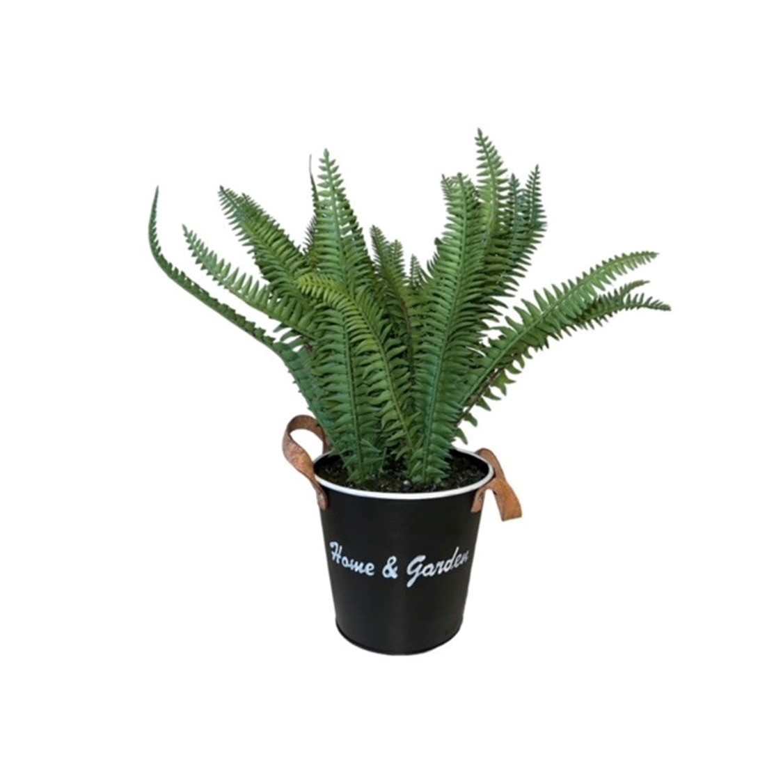 HELECHO DE 30 CM CON MACETERO - 2