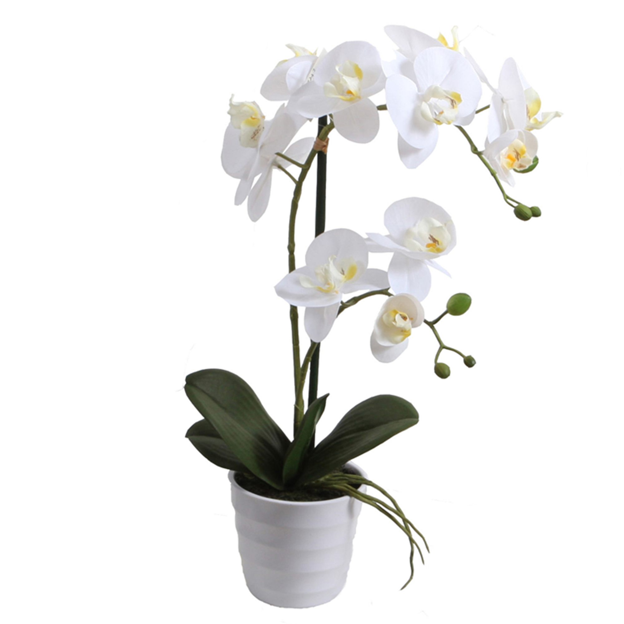 ORQUÍDEA BLANCA 51 CM EN MACETERO - 2
