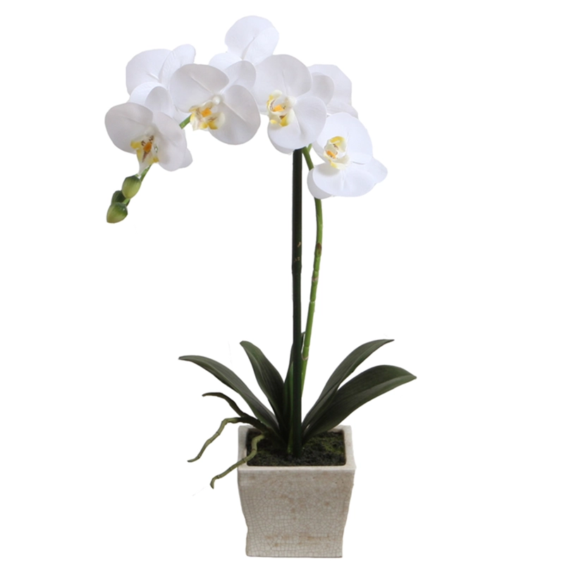 ORQUÍDEA BLANCA 51 CM EN MACETERO - 2