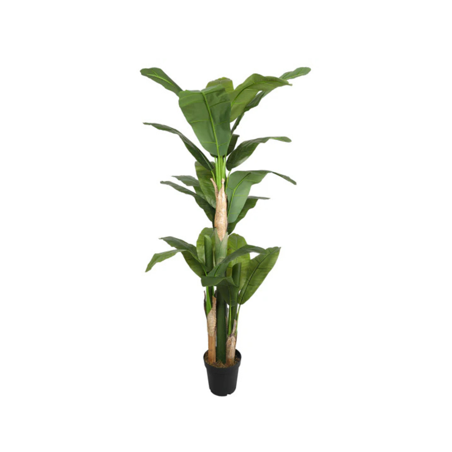 BIRD OF PARADISE ARTIFICIAL DE 200 CM. - 1