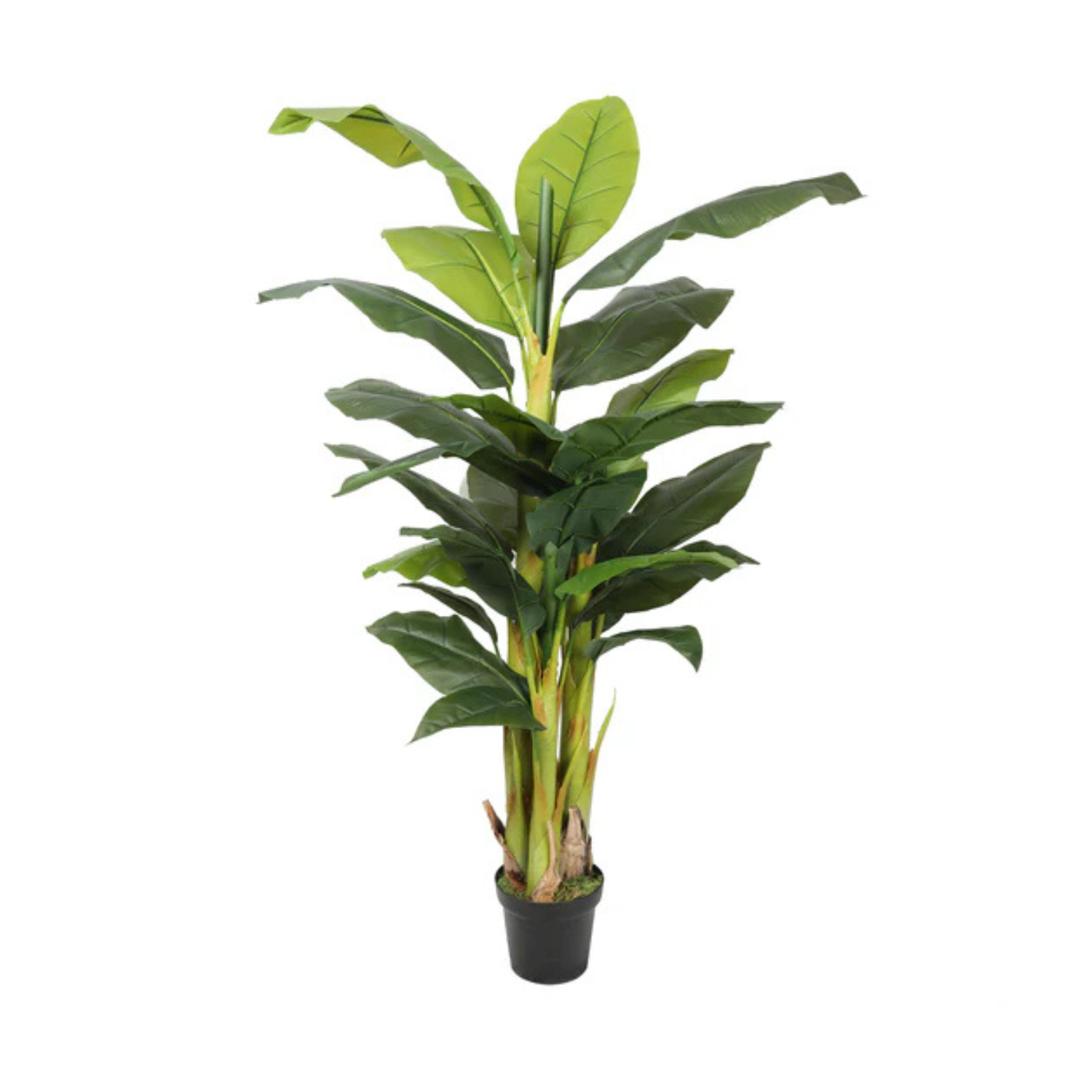 BANANO ARTIFICIAL DE 180 CM, 5 TALLOS Y 22 HOJAS - 1