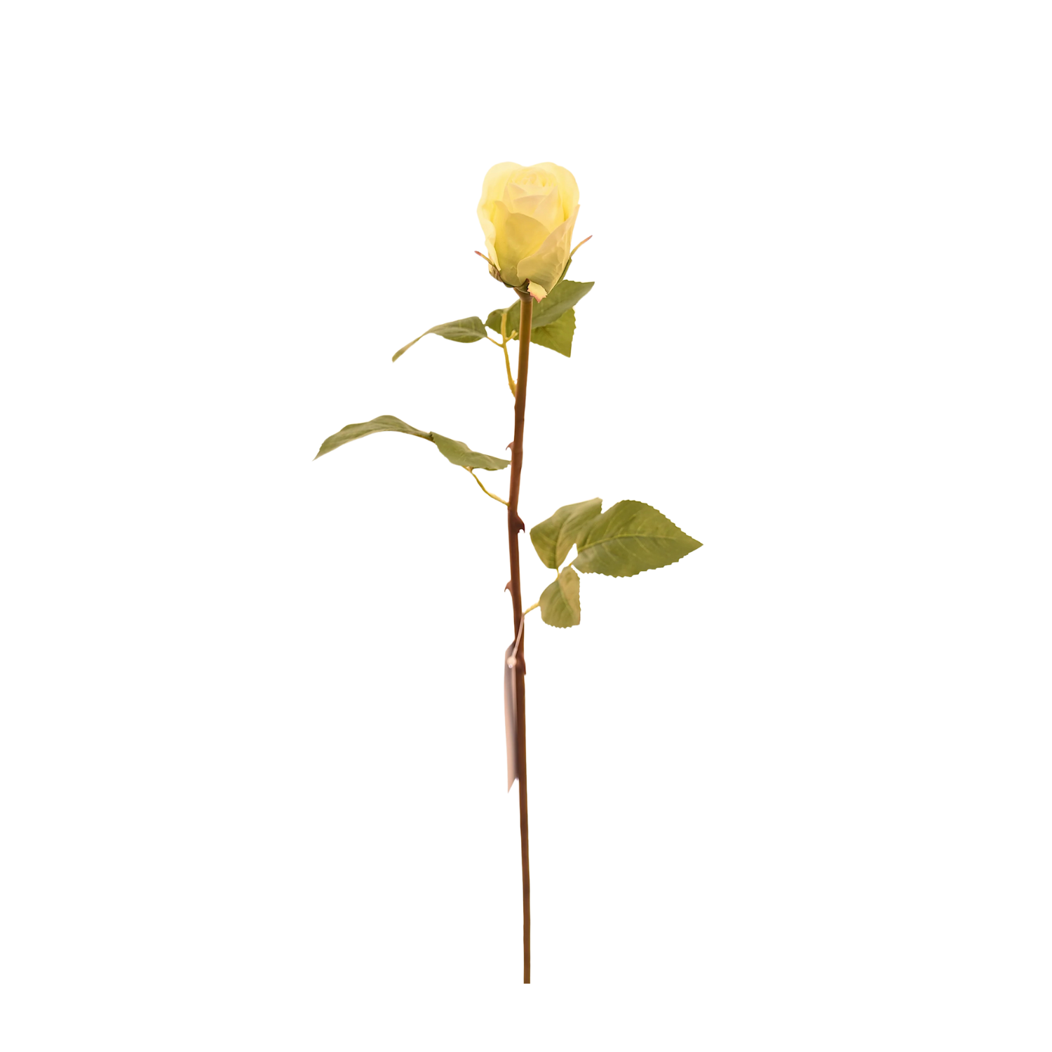 BOTÓN DE FLOR DE ROSA ARTIFICIAL COLOR CREMA DE 51 CM - 1