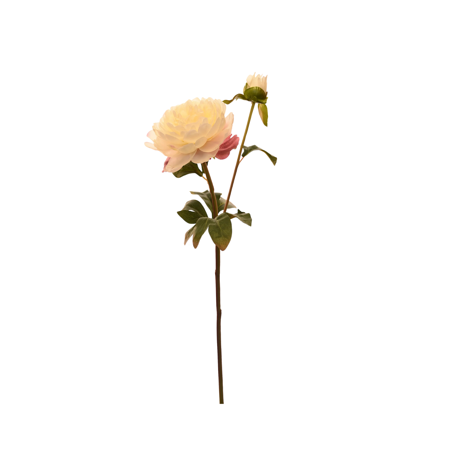 FLOR DE PEONÍA ARTIFICIAL COLOR BLANCO DE 57 CM - 1
