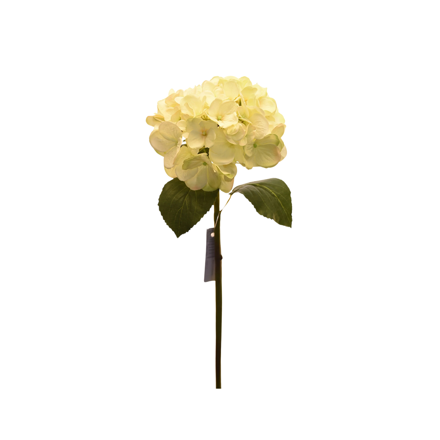 FLOR DE HORTENSIA ARTIFICIAL COLOR CREMA DE 52 CM - 1