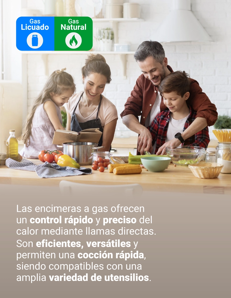 ENCIMERA GAS NATURAL ALBIN TROTTER QUADRA 90 CM 6 PLATOS - 8