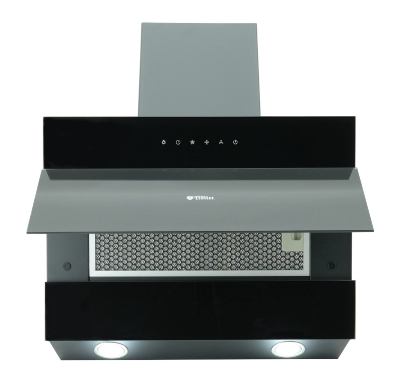 CAMPANA EXTRACTORA ALBIN TROTTER REIN SCH 60 ALBIN TROTTER - 2