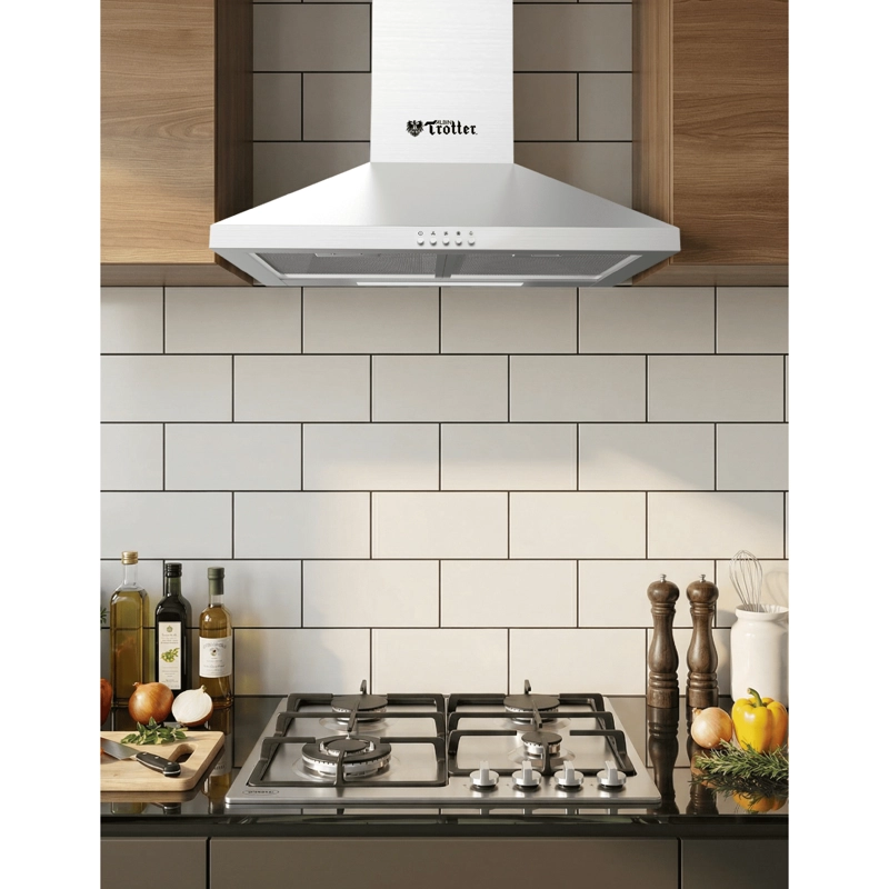 DUO ALBIN TROTTER COCINA BREIT PRO GAS LICUADO - 4