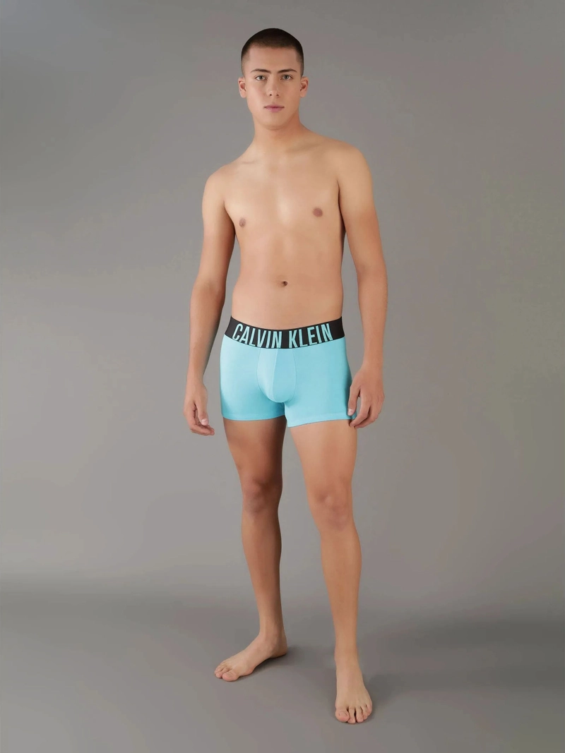 PACK 3 BOXERS TRUNK INTENSE POWER - 2