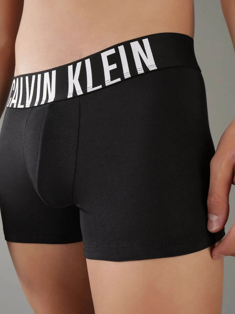 PACK 3 BOXERS TRUNK INTENSE POWER - 4