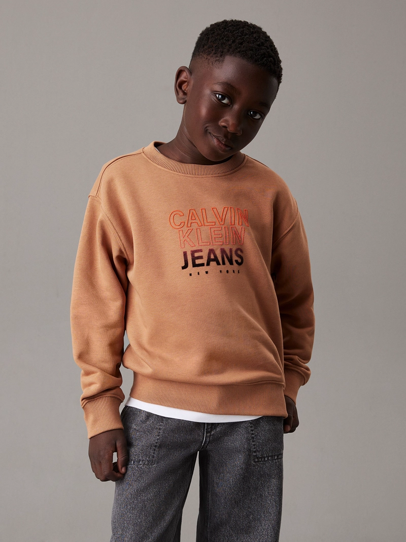 POLERON NIÑO GRADIENT FLOCK LOGO - 1