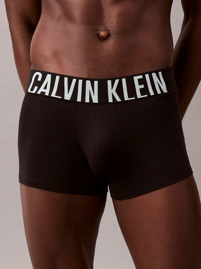 PACK 3 BOXERS TRUNK INTENSE POWER - 5