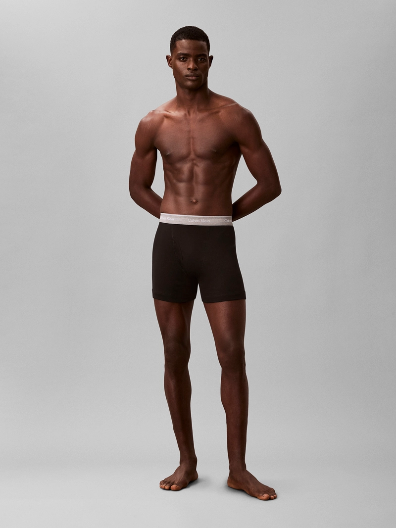 PACK DE 5 BOXERS BRIEF COTTON CLASSICS - 3