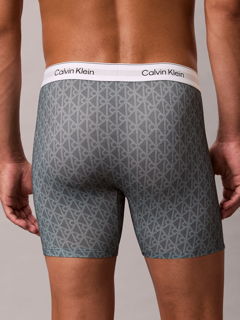 PACK DE 3 BOXERS BRIEF ICON COTTON STRETCH - 4