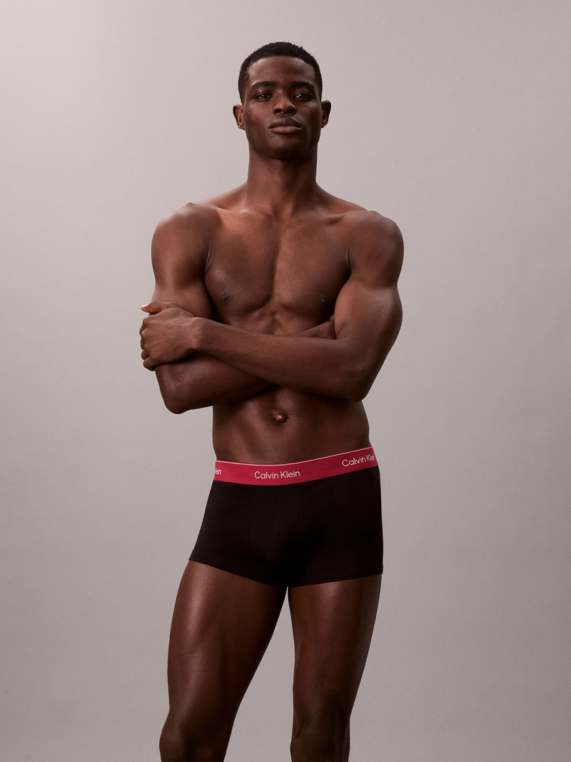 PACK DE 3 BOXERS LOW RISE TRUNK ICON COTTON STRETCH - 2