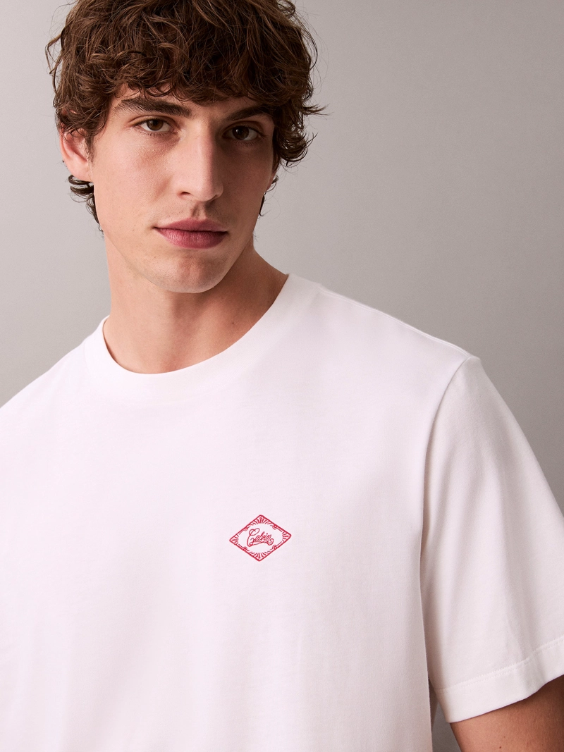 POLERA CACIN MATCHBOX GRAPHIC - 5