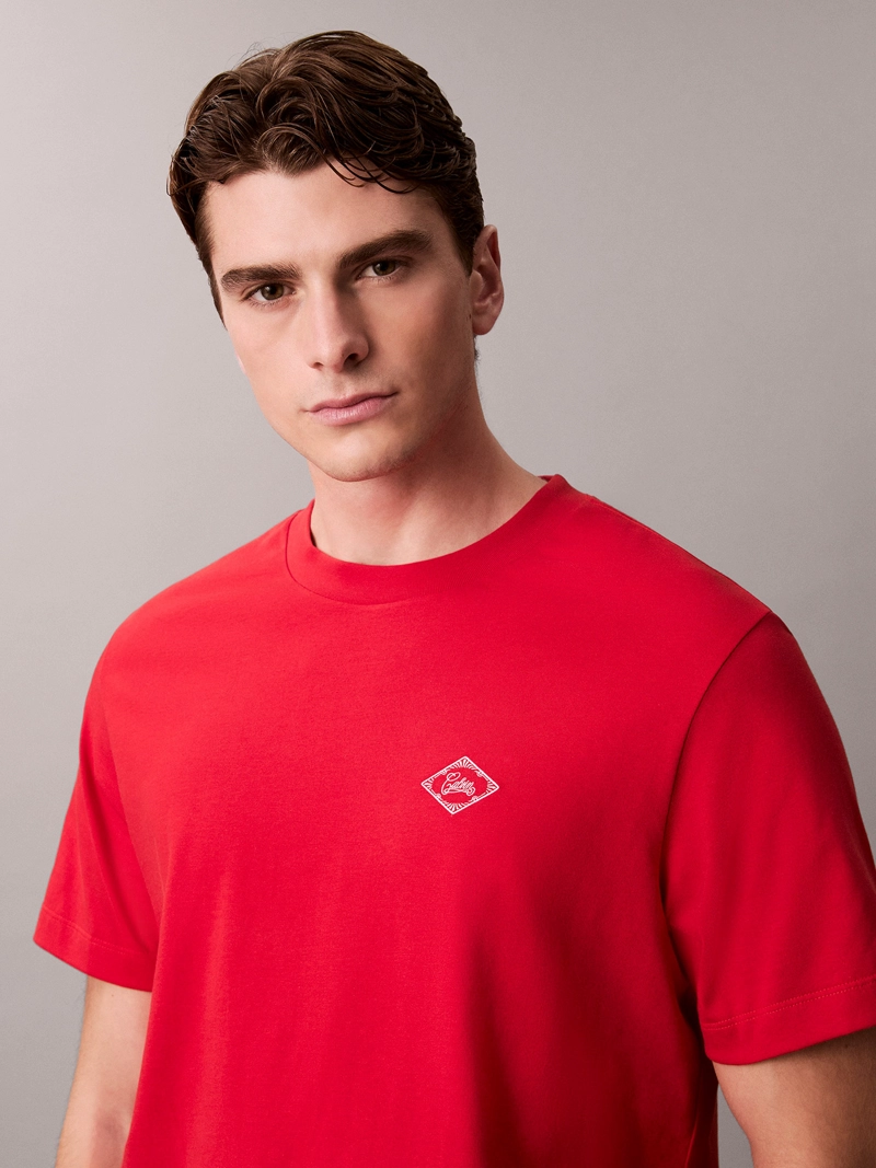 POLERA CACIN MATCHBOX GRAPHIC - 5