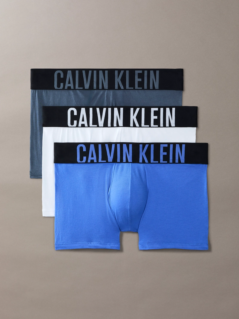 PACK DE 3 BOXERS TRUNK INTENSE POWER - 1