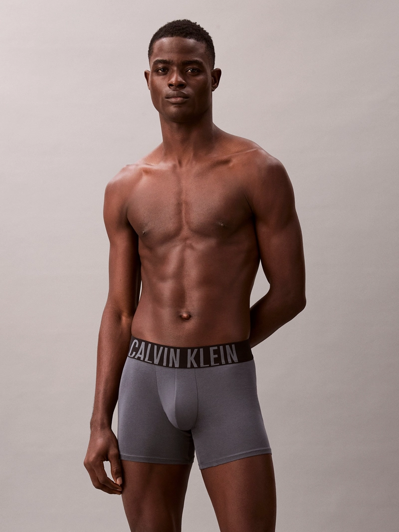 PACK DE 3 BOXERS BRIEF INTENSE POWER COTTON - 2