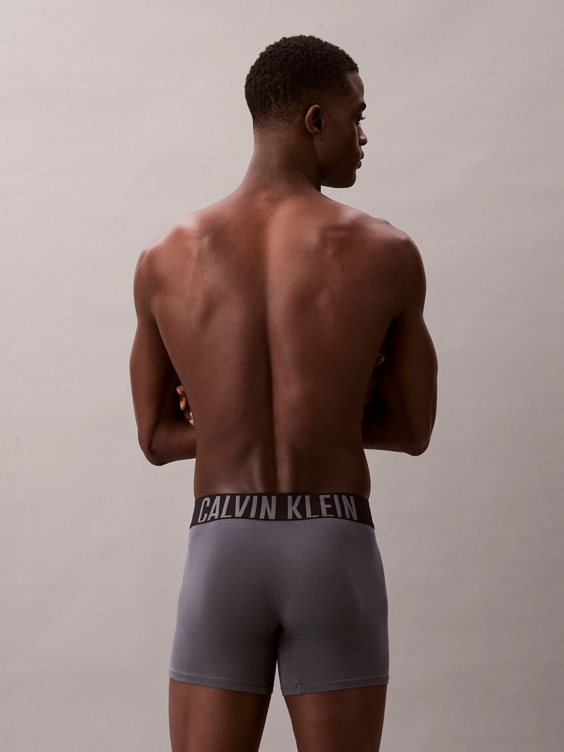 PACK DE 3 BOXERS BRIEF INTENSE POWER COTTON - 4