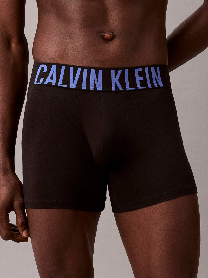 PACK DE 3 BOXERS BRIEF INTENSE POWER COTTON - 5