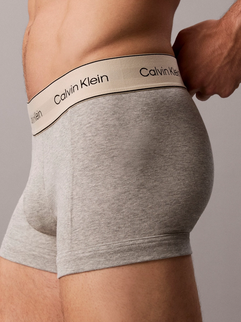 PACK DE 3 BOXERS TRUNK PIMA COTTON - 5