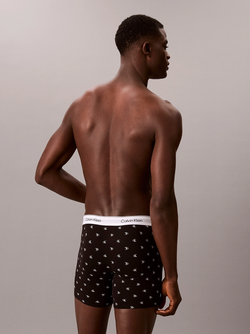 PACK DE 3 BOXERS BRIEF ICON COTTON STRETCH - 4