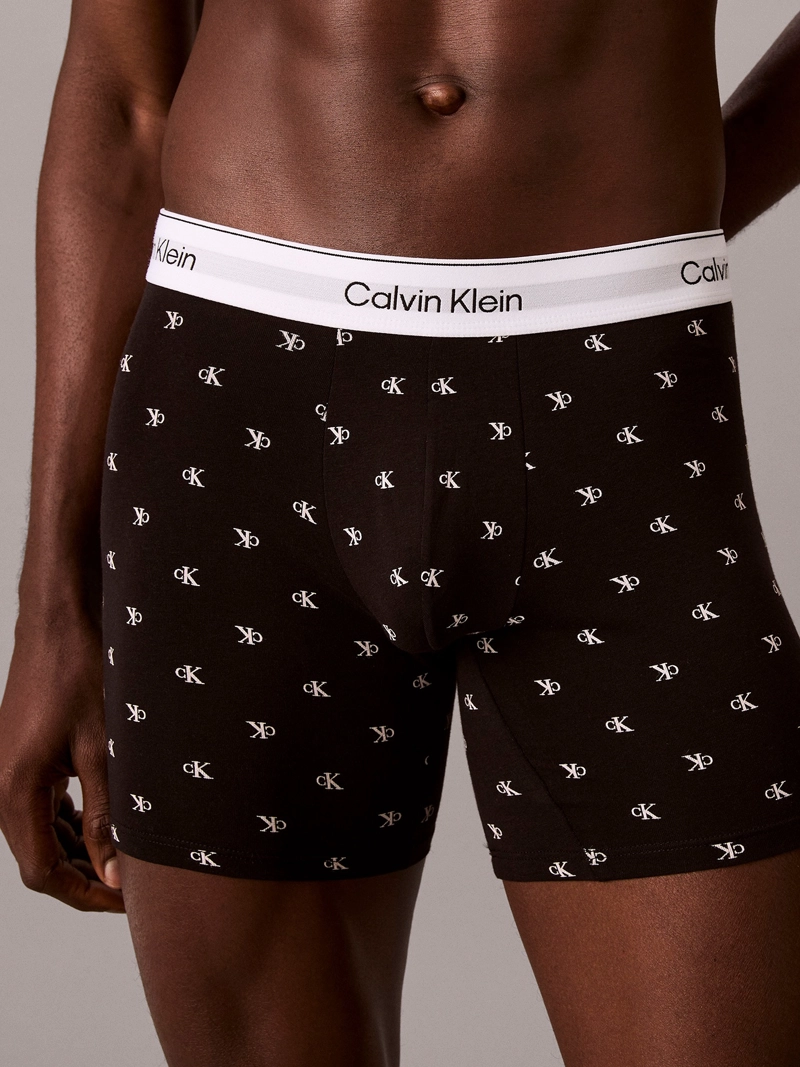 PACK DE 3 BOXERS BRIEF ICON COTTON STRETCH - 6