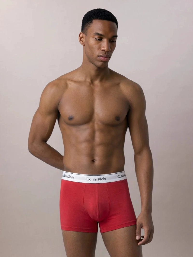 PACK DE 3 BOXERS LOW RISE TRUNK ICON COTTON STRETCH - 2