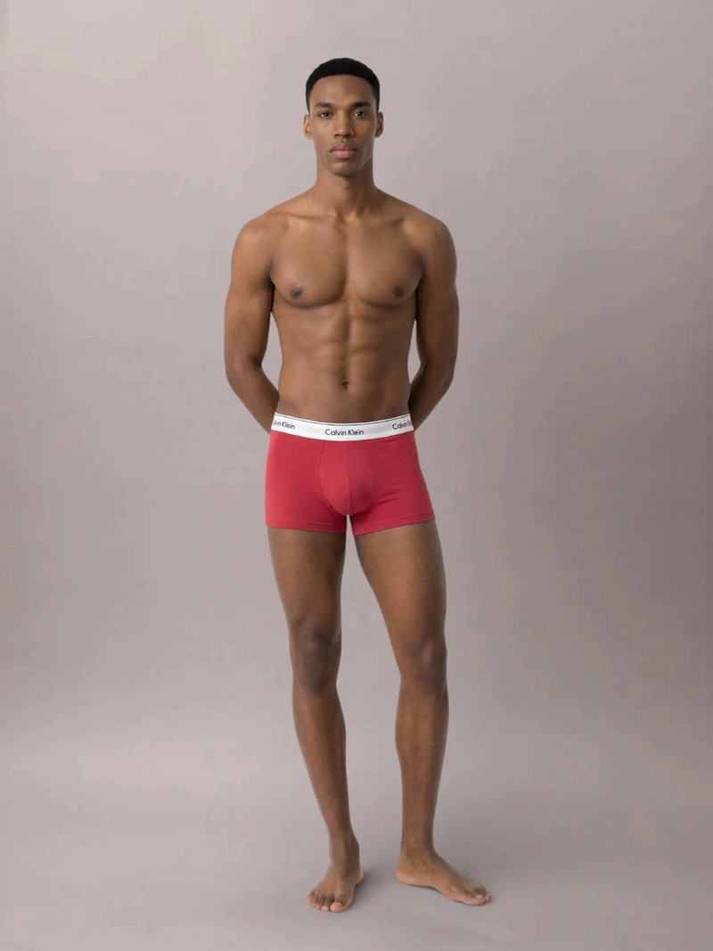 PACK DE 3 BOXERS LOW RISE TRUNK ICON COTTON STRETCH - 3