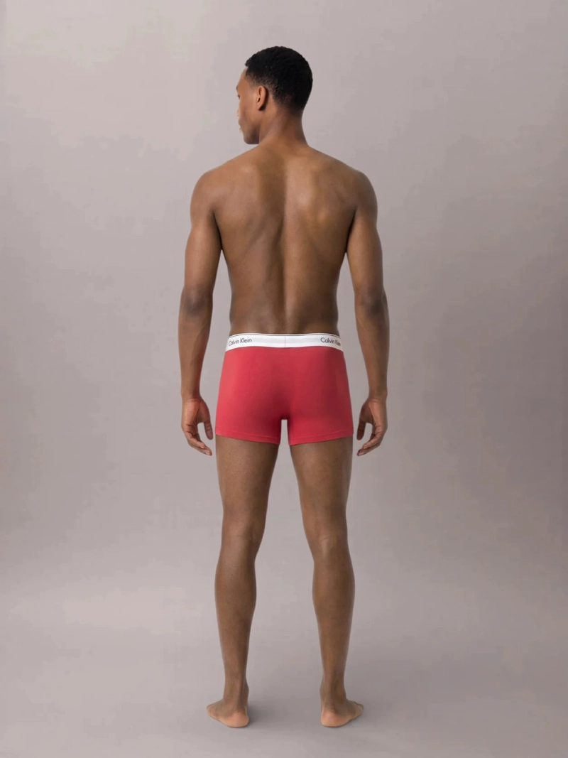 PACK DE 3 BOXERS LOW RISE TRUNK ICON COTTON STRETCH - 4