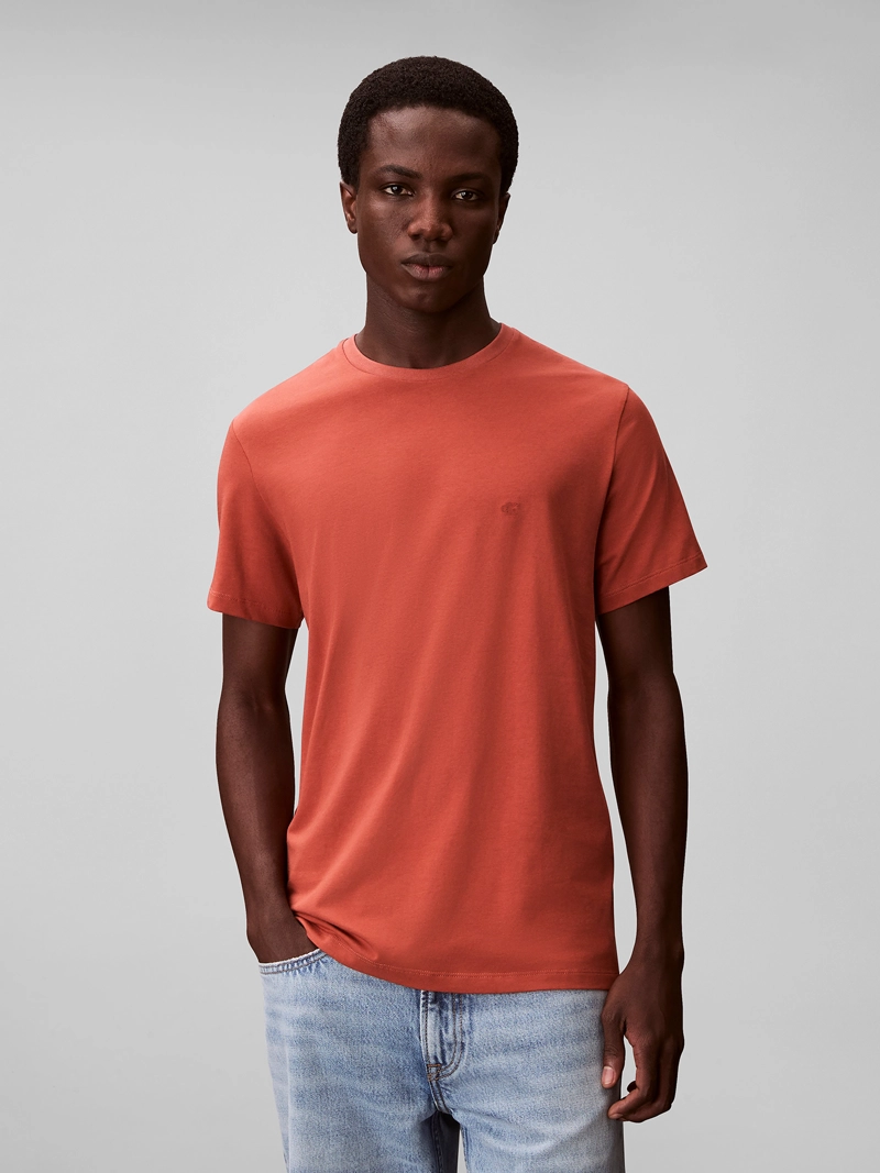 POLERA SLIM DE ALGODON STRECH - 1