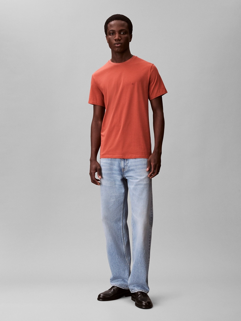 POLERA SLIM DE ALGODON STRECH - 2
