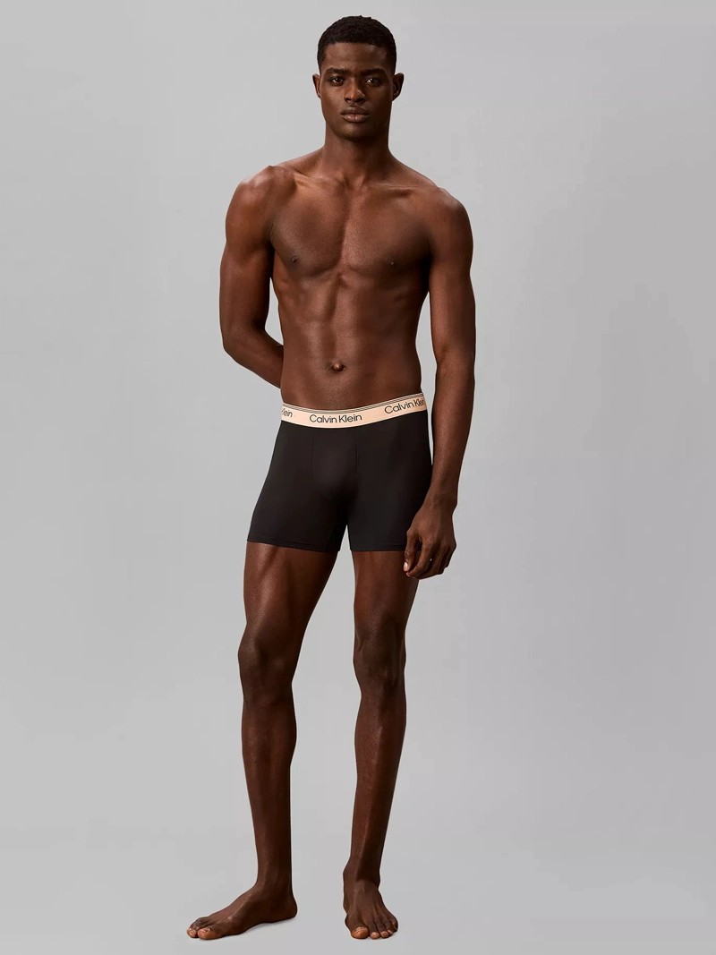PACK DE 4 BOXERS BRIEF MICROFIBER STRETCH - 2